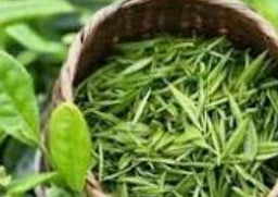 600cc全讯白菜自助注册-全讯600cc大白菜-600cc全讯白菜网